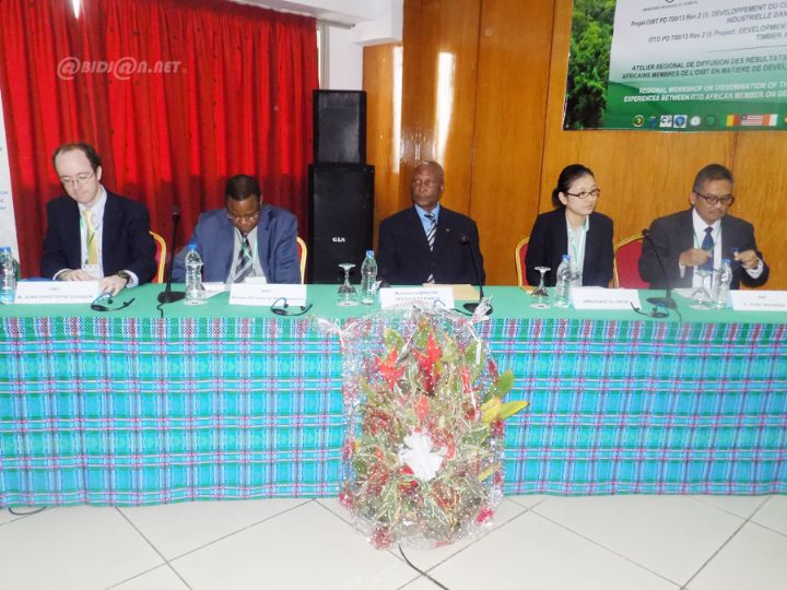 Treize pays d’Afrique se concertent sur le développement du commerce des bois tropicaux